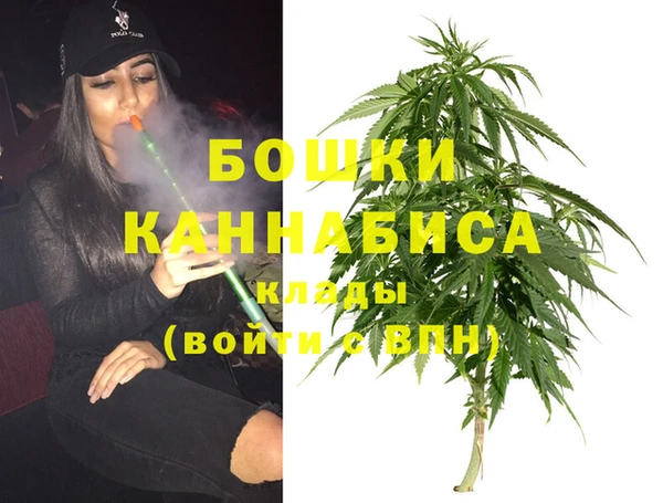 мдпв Горняк